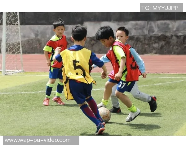 学校与足球俱乐部携手共建青少年足球发展新模式促进校园体育文化繁荣 学校与足球俱乐部携手共建青少年足球发展新模式促进校园体育文化繁荣