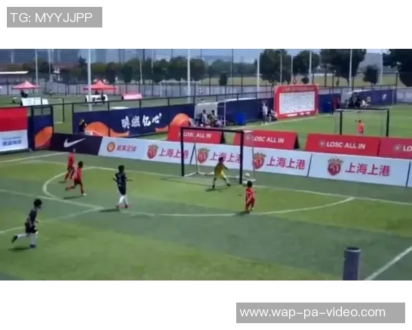 提升球场表现锐克足球袜助你轻松应对每场比赛挑战